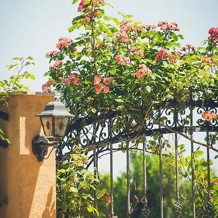 Apolonia Palace Apartahotel Sinemoretz