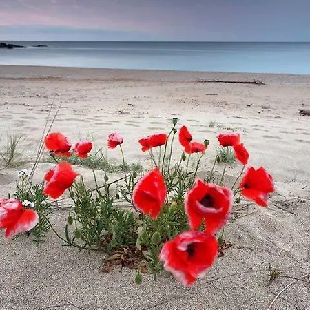 Apolonia Palace Sinemoretz