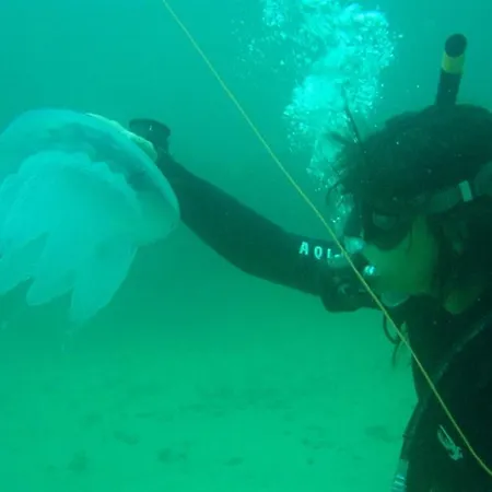 Apolonia Palace Apartahotel Sinemoretz