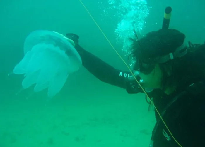 Apolonia Palace Ξενοδοχείο με διαμερίσματα Sinemoretz