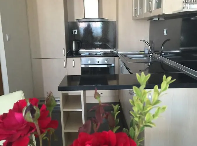 Apolonia Palace 4* Sinemoretz