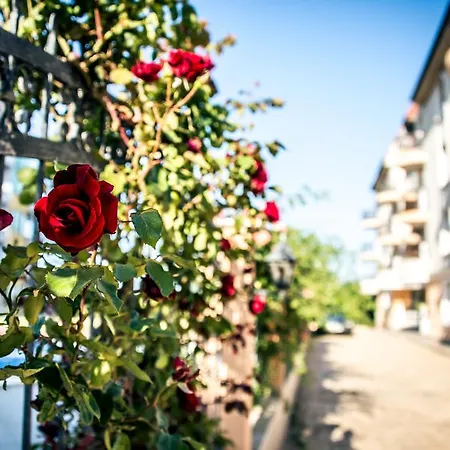 Апартхотел аполония палас