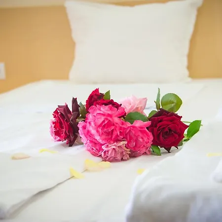 Apolonia Palace Aparthotel