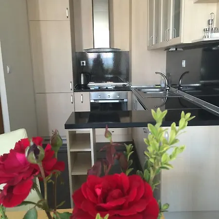 аполония палас 4* Синеморец