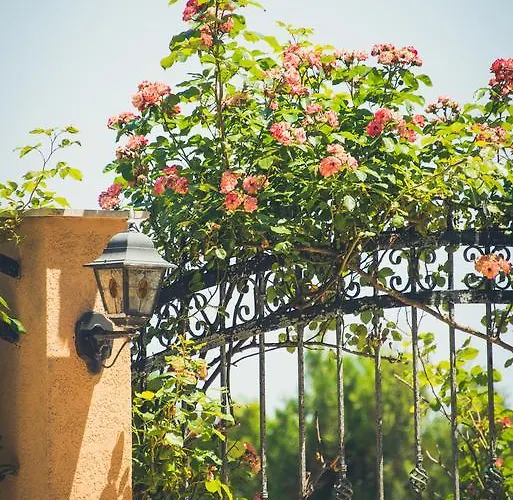 Apolonia Palace Apartmanhotel Szinemorec