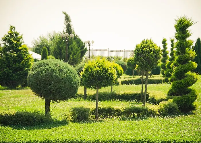 аполония палас Апартхотел Синеморец