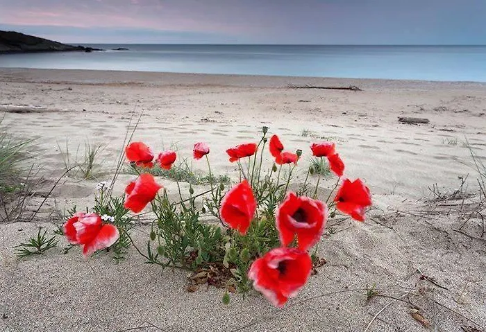 Apolonia Palace Szinemorec