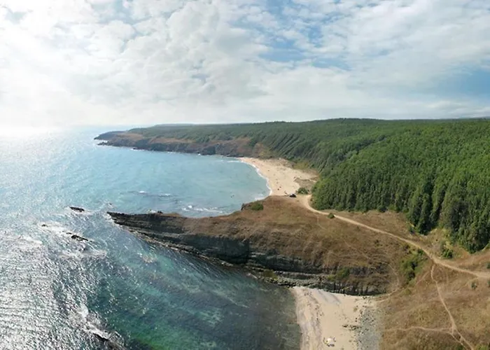 аполония палас