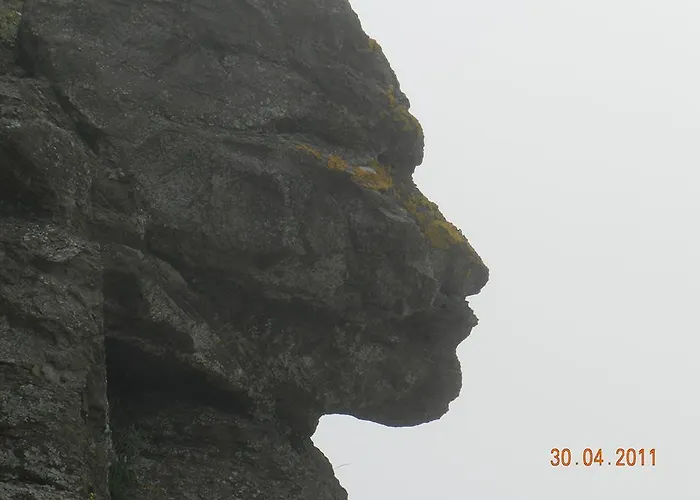 аполония палас